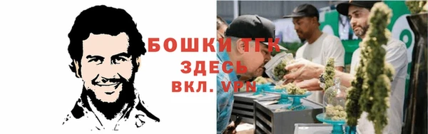 мескалин Коряжма