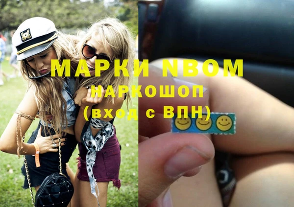 шишки Майский