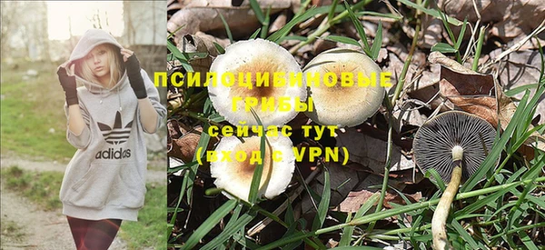 стаф Костерёво