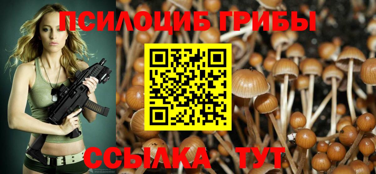 Юрга  Галлюциногенные грибы Psilocybe  Вход с VPN 